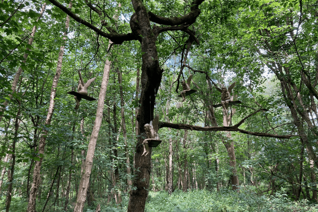 Lunch Break: A New Legacy Among the Trees