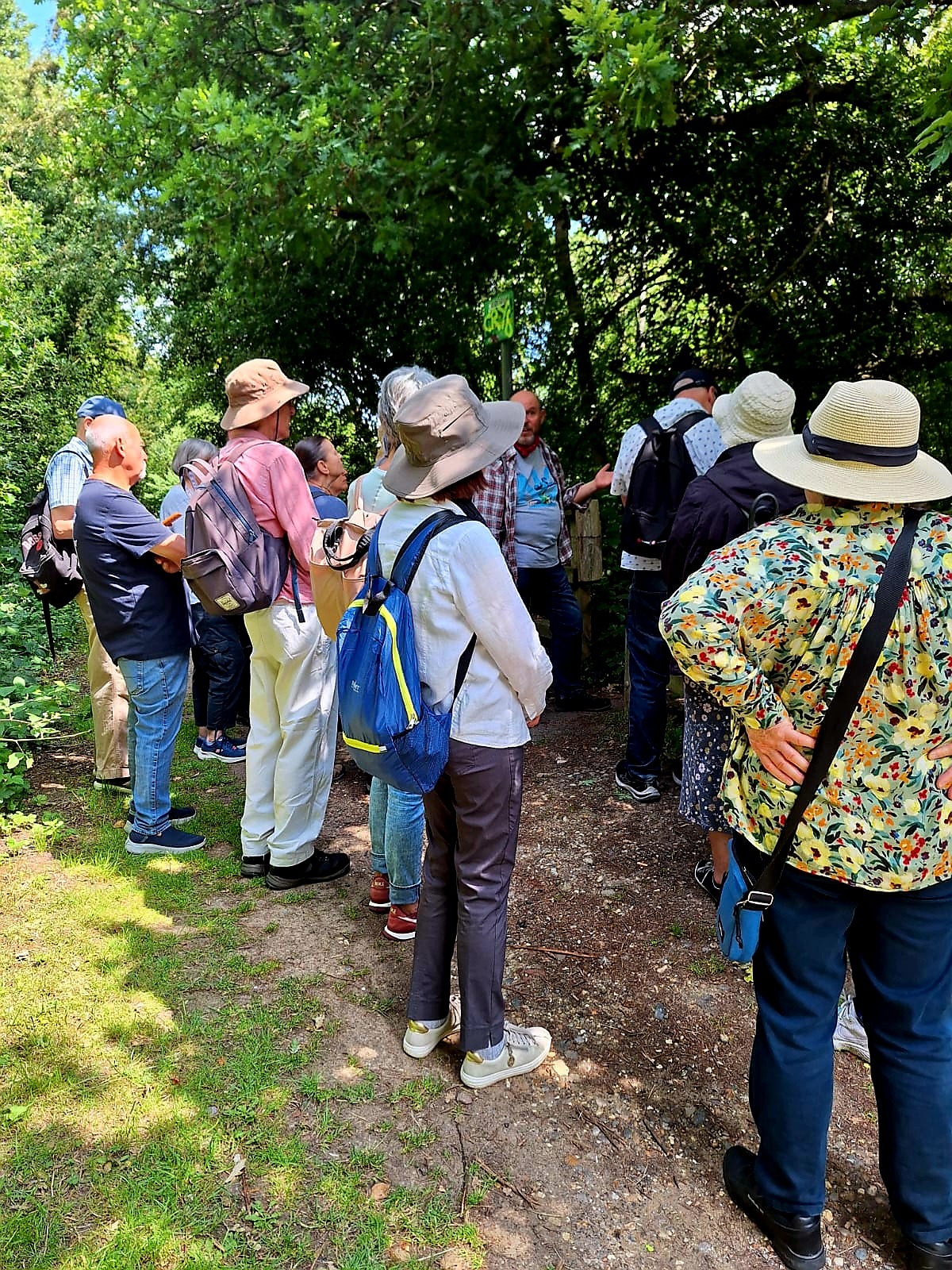 Voices of Barnet